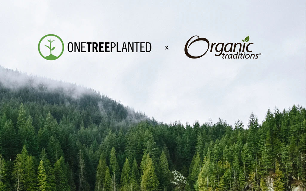 Join Organic Traditions in Our Tree Planting Initiative in Canada