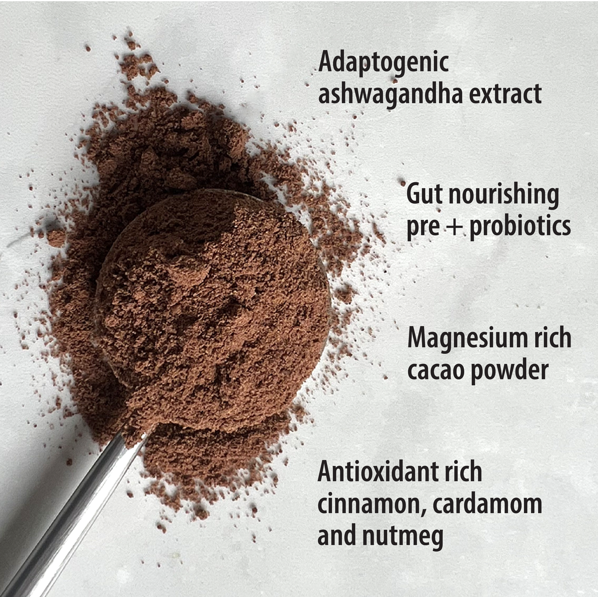 Organic Chocolate Latte with Ashwagandha and Probiotics